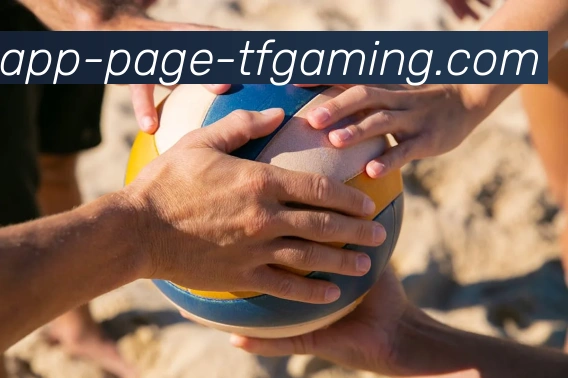 雷火电竞APP平台生态图